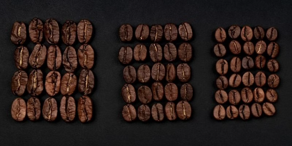 The Main Types Of Coffee Beans