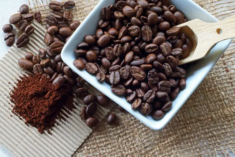 Fairtrade Coffee Harvest